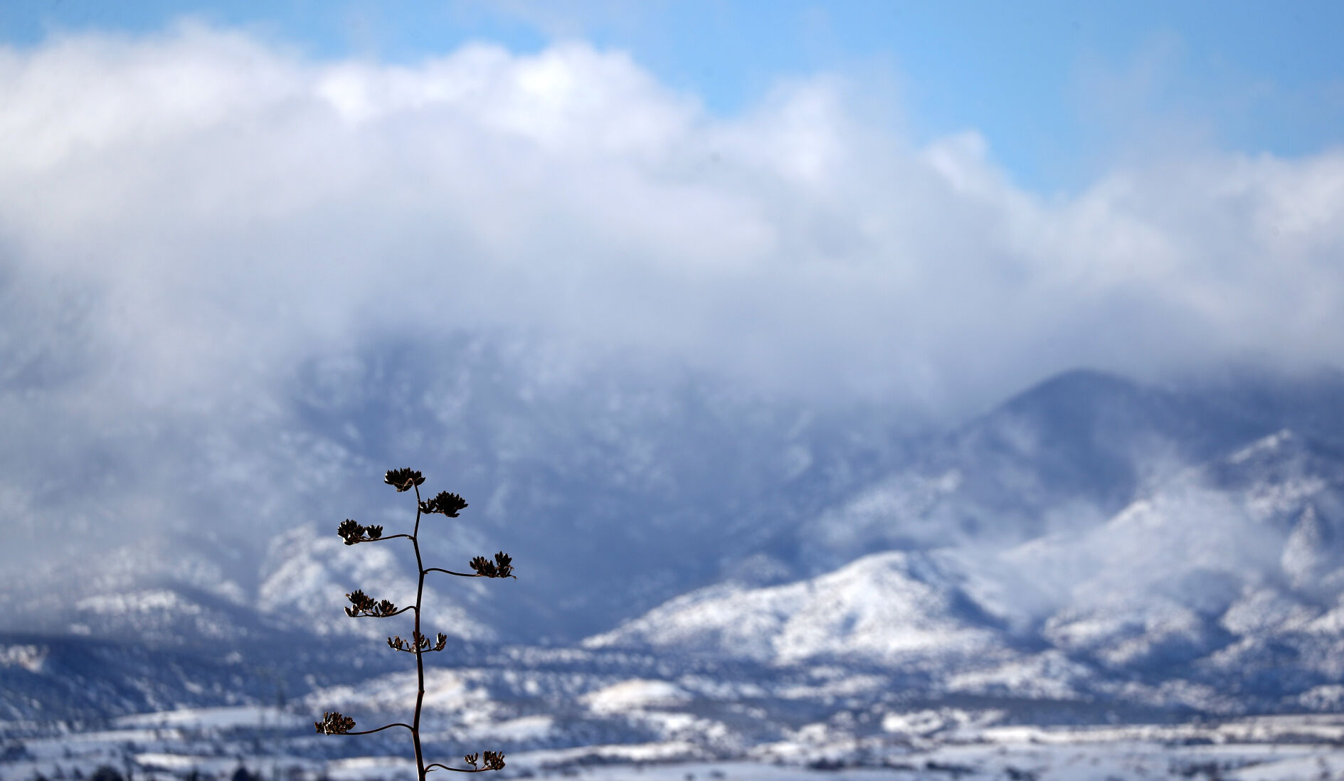 Snow